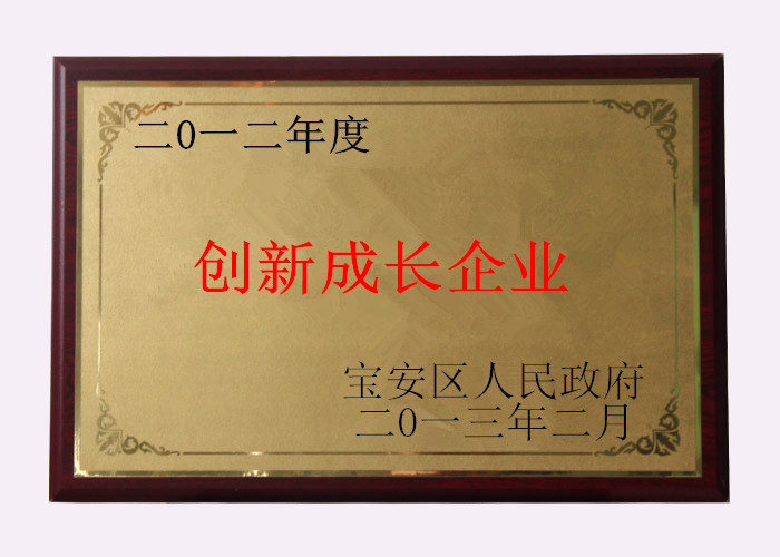 創(chuàng)新成長(zhǎng)企業(yè)獎(jiǎng)